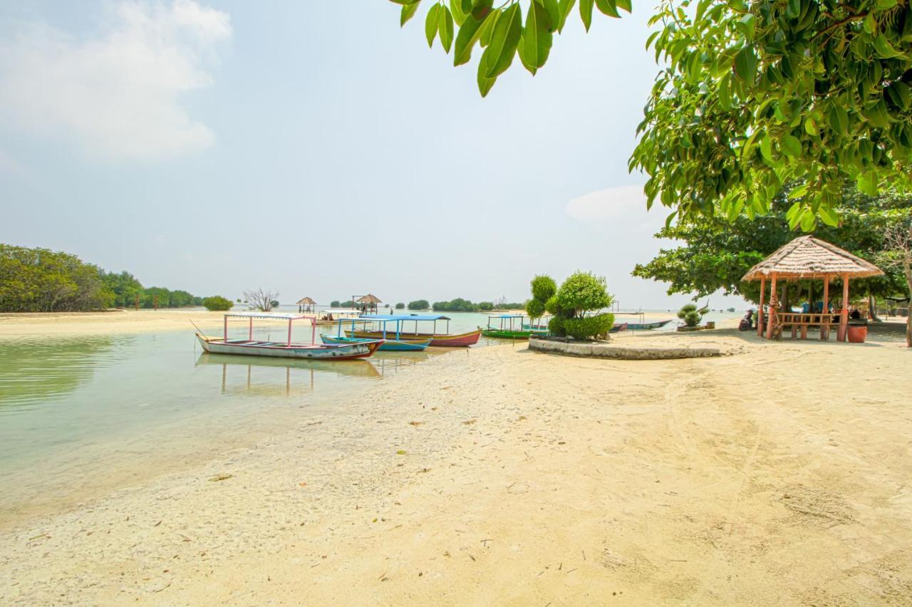 Guerilla Dive Lodge Pulau Pari Τζακάρτα Εξωτερικό φωτογραφία